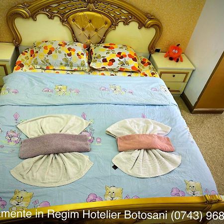 Apartament De Lux zona 0 Botosani 2 camere Buitenkant foto