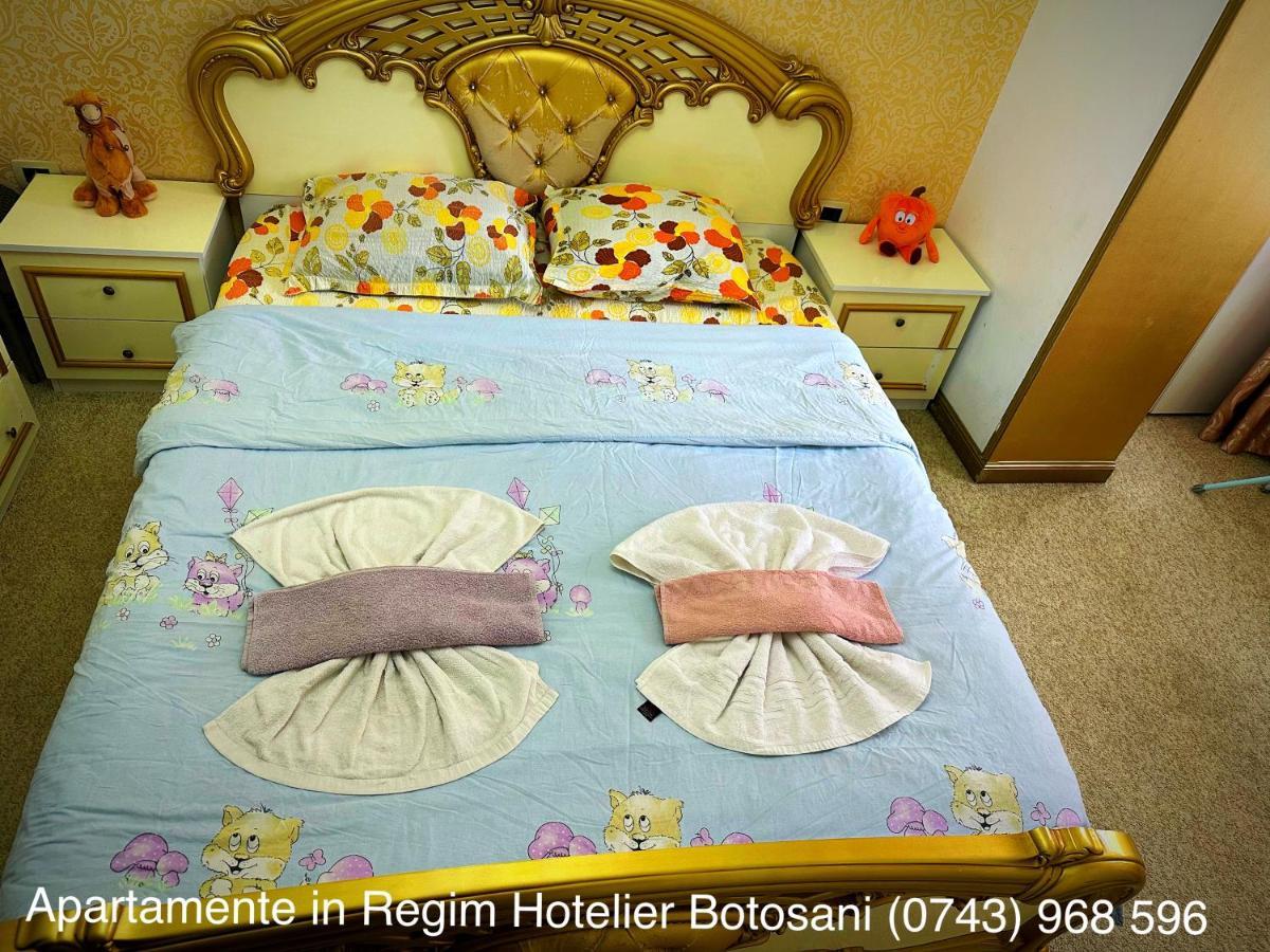 Apartament De Lux zona 0 Botosani 2 camere Buitenkant foto
